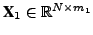 $ \textbf{X}_1 \in \mathbb{R}^{N
\times m_1}$