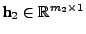 $ \textbf{h}_2 \in \mathbb{R}^{m_2 \times 1}$