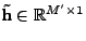 $ \textbf{\~h} \in \mathbb{R}^{M'\times 1}$