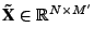 $ \textbf{\~X} \in \mathbb{R}^{N\times
M'}$